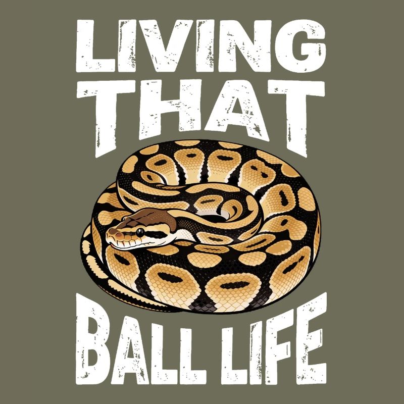 Python roi Serpents Amateurs de terrarium Python