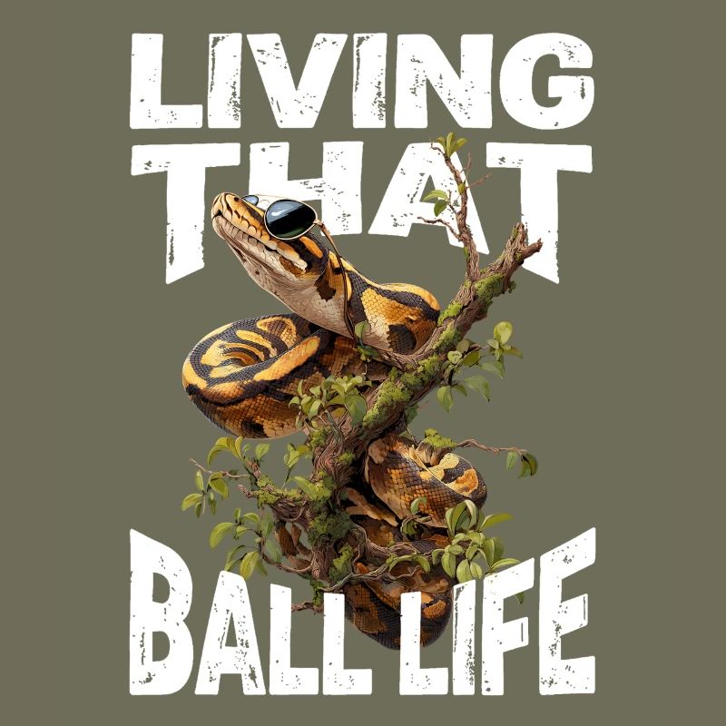 Königspython Schlangen Liebhaber Terrarium Python