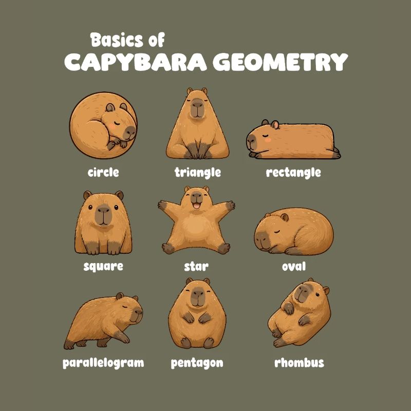 Basics of Capybara Geometry Funnier