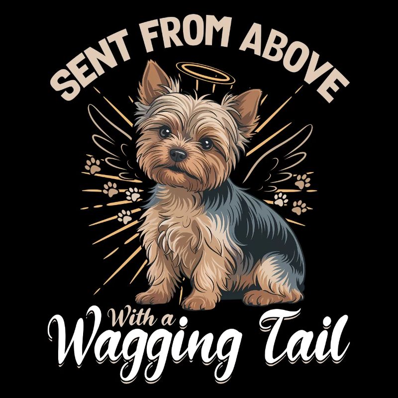 Yorkshire Terrier Yorkshire Race de chien Yorkshire