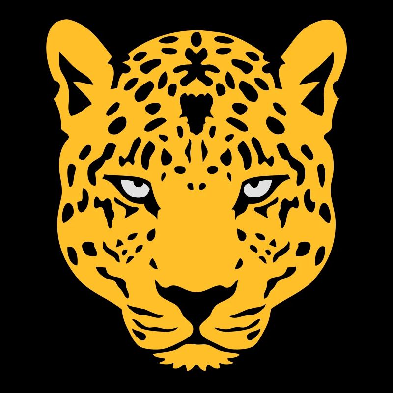 leopards wild animal 30