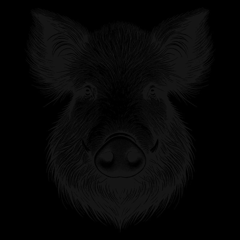 Wild boar