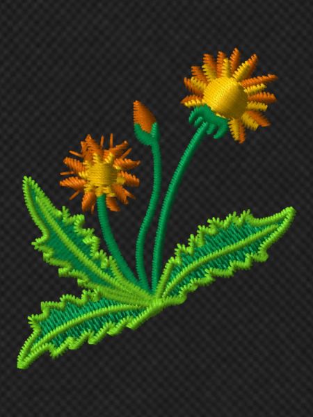 Dandelion