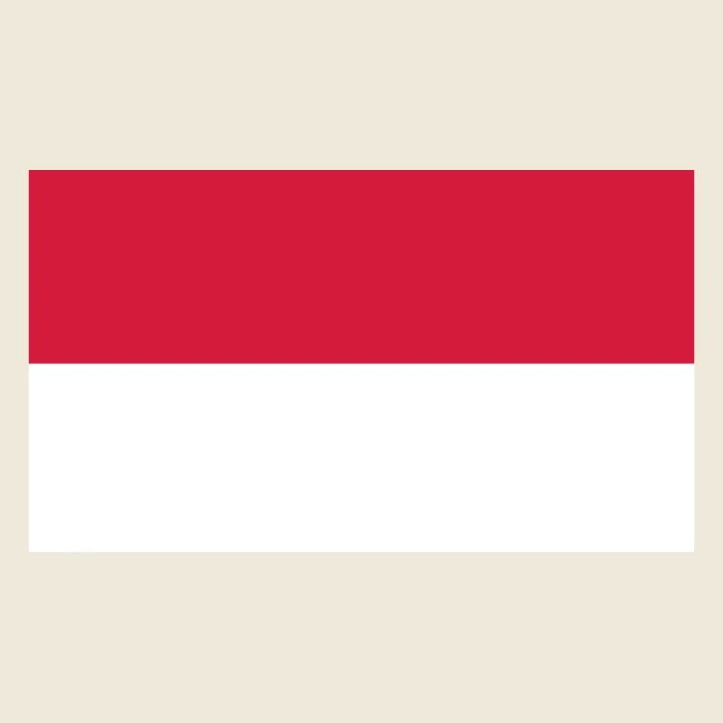 indonesia flag