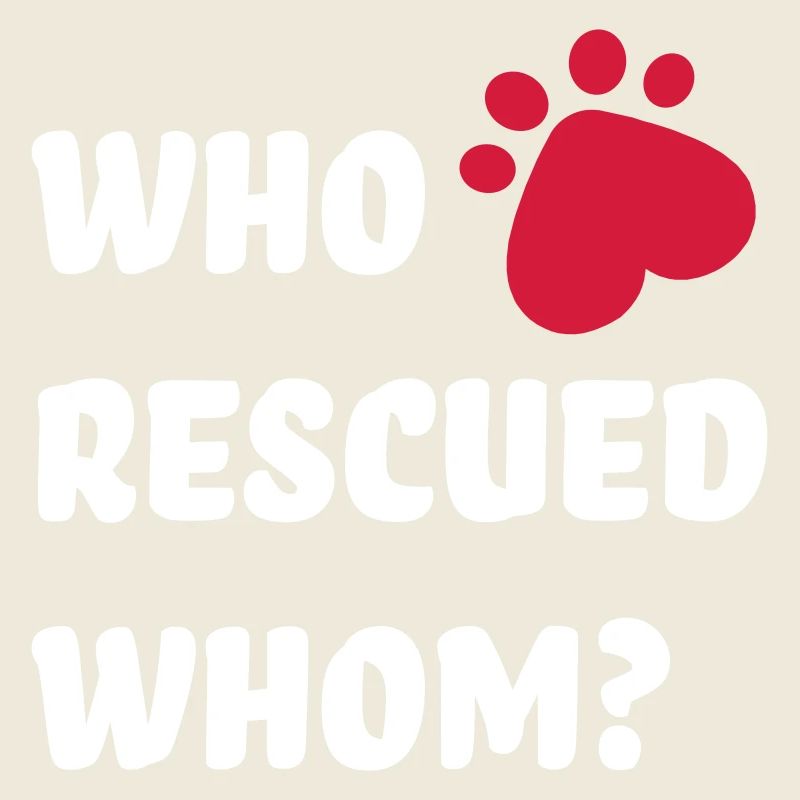 Animal Welfare Dog