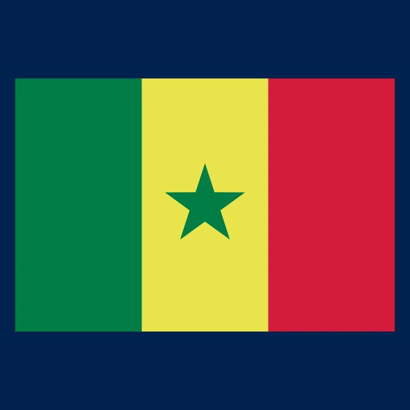 Drapeau Sénégal / Senegal flag