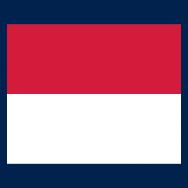 Monaco flag / Drapeau Monaco