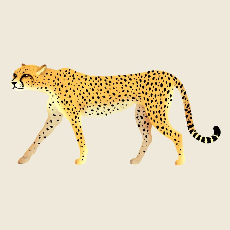 Guépard / Cheetah 01