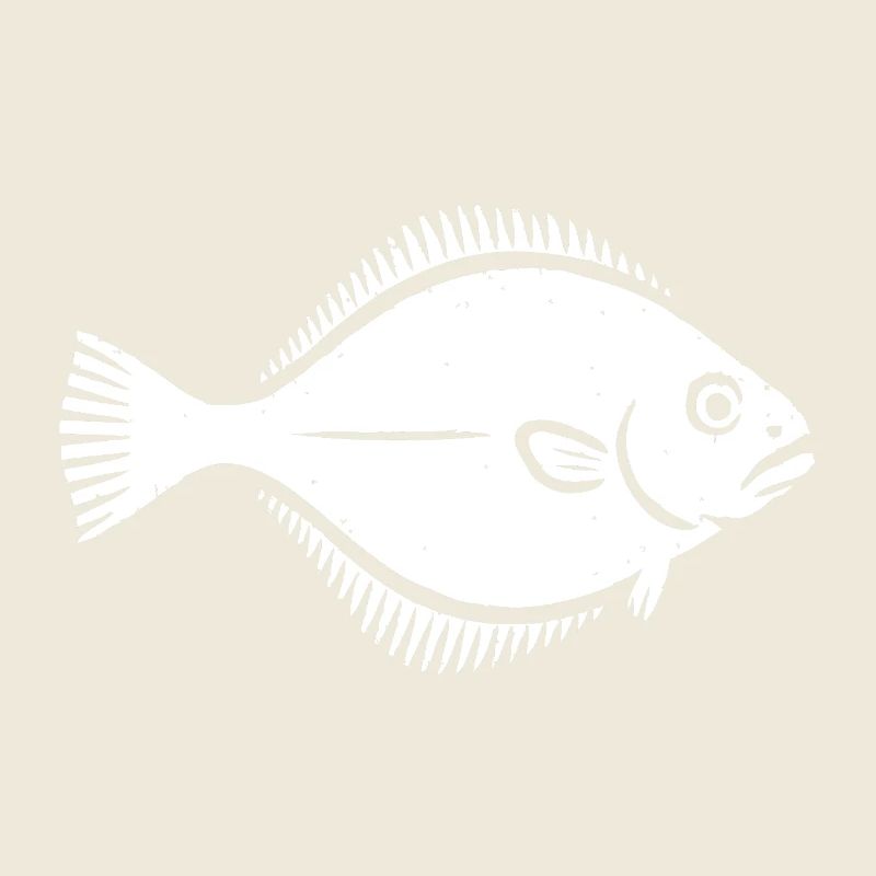 Plaice Flounder