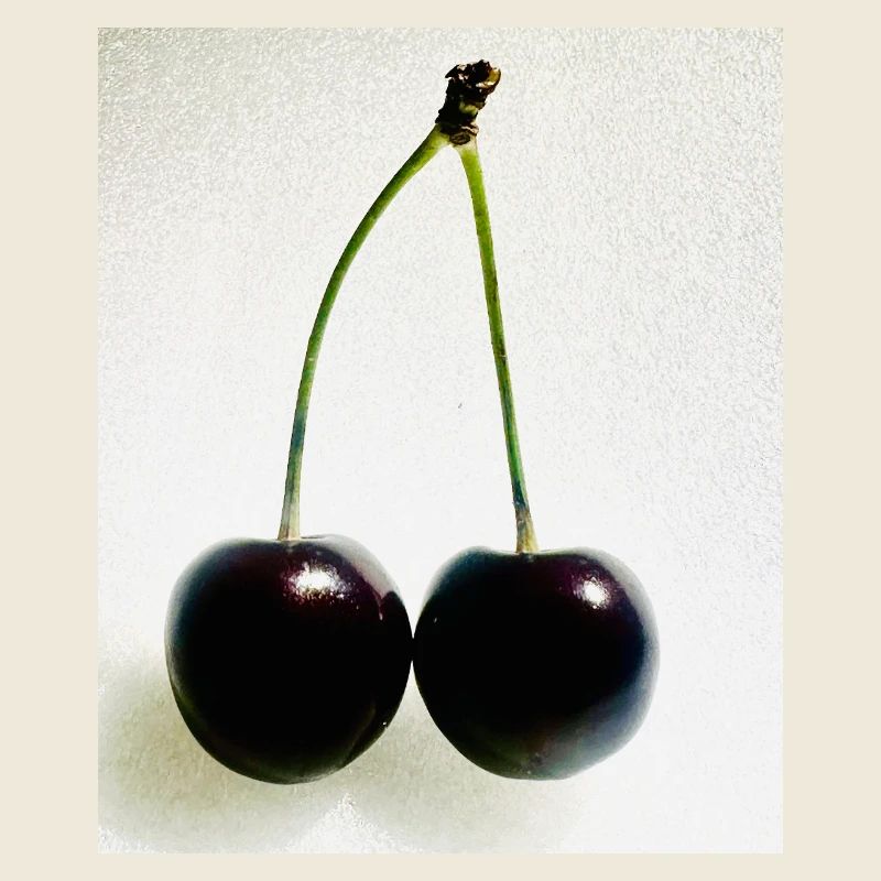 Cherry