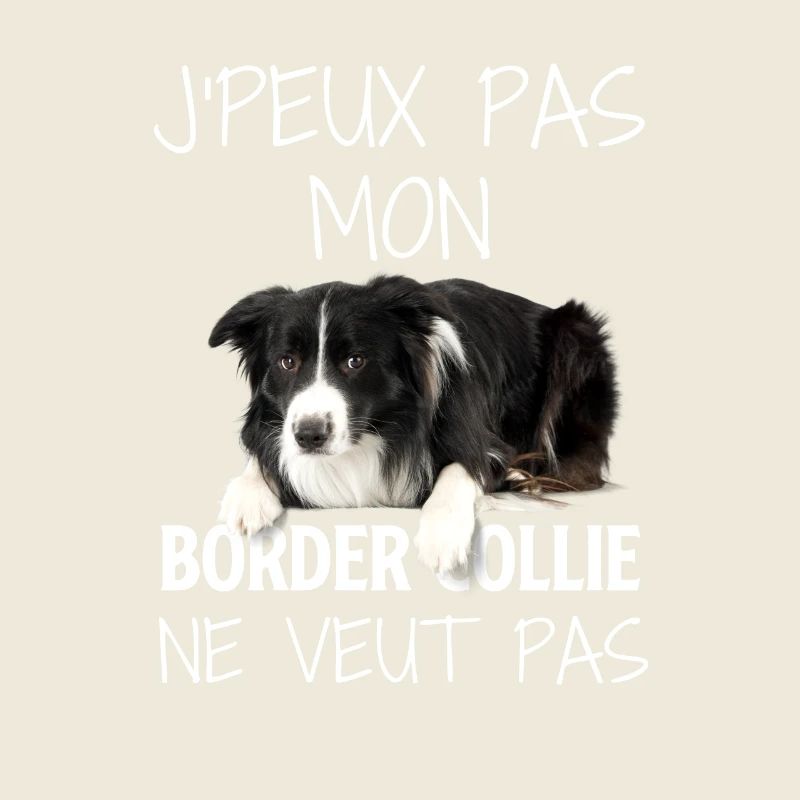 Mon Border collie ne veut pas