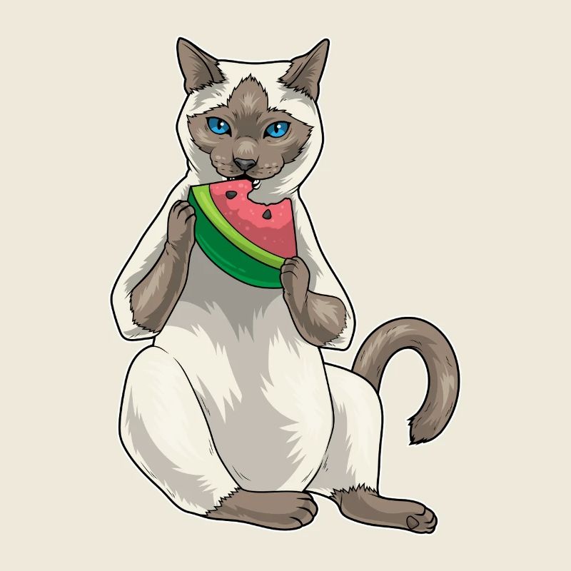 Chat siamois Pastèque