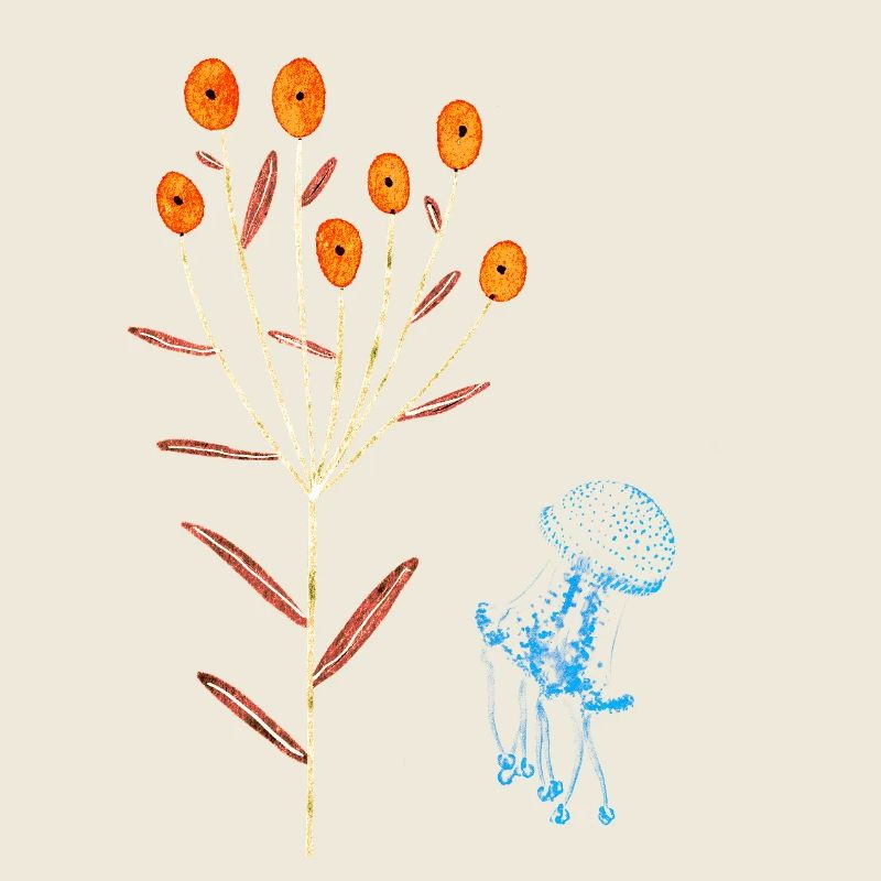 Neonblüten und blaue Quallen