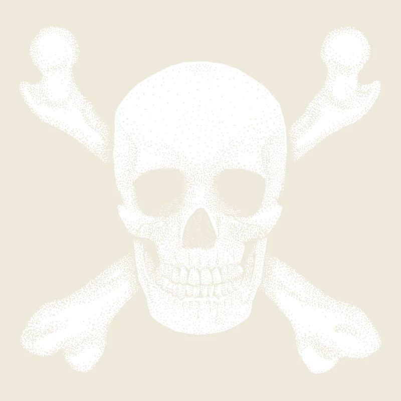 Jolly Roger Pirate Skull