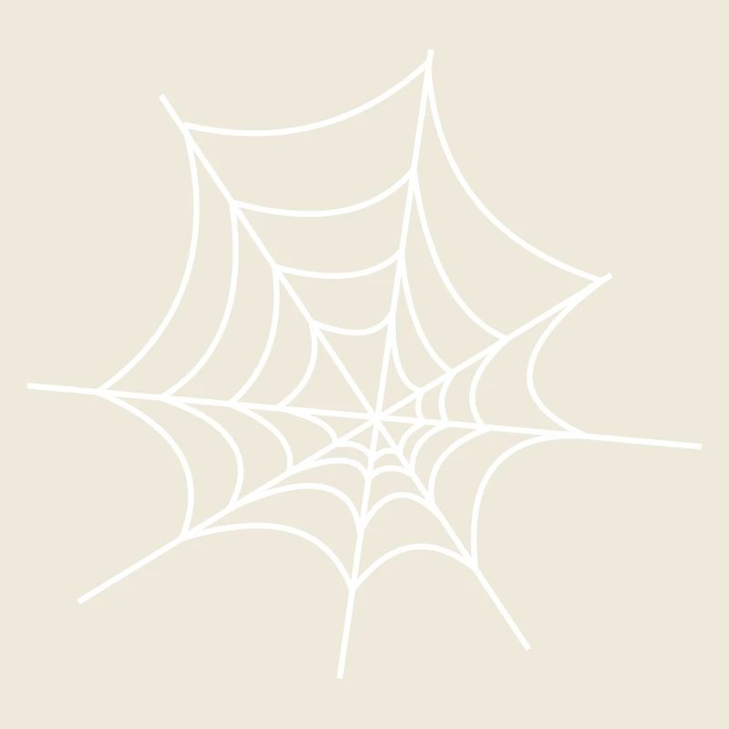 Spinnennetz
