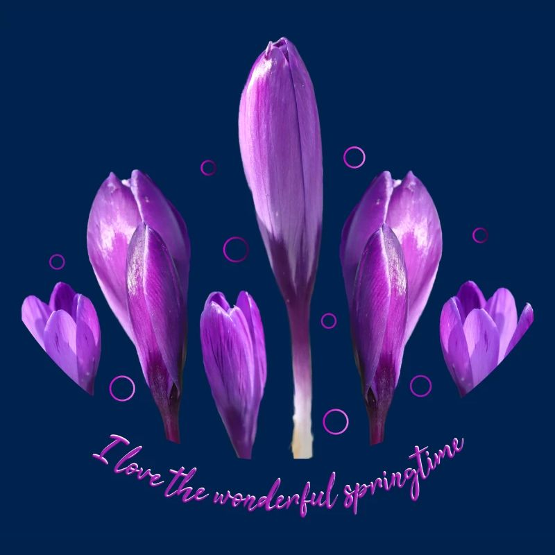 Crocuses Crocus