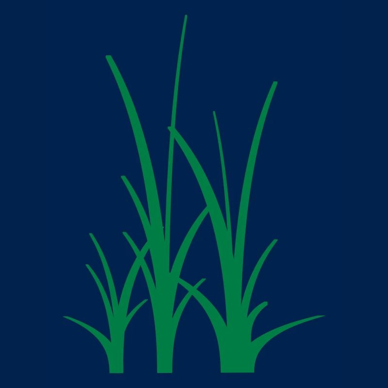 Binary Gras
