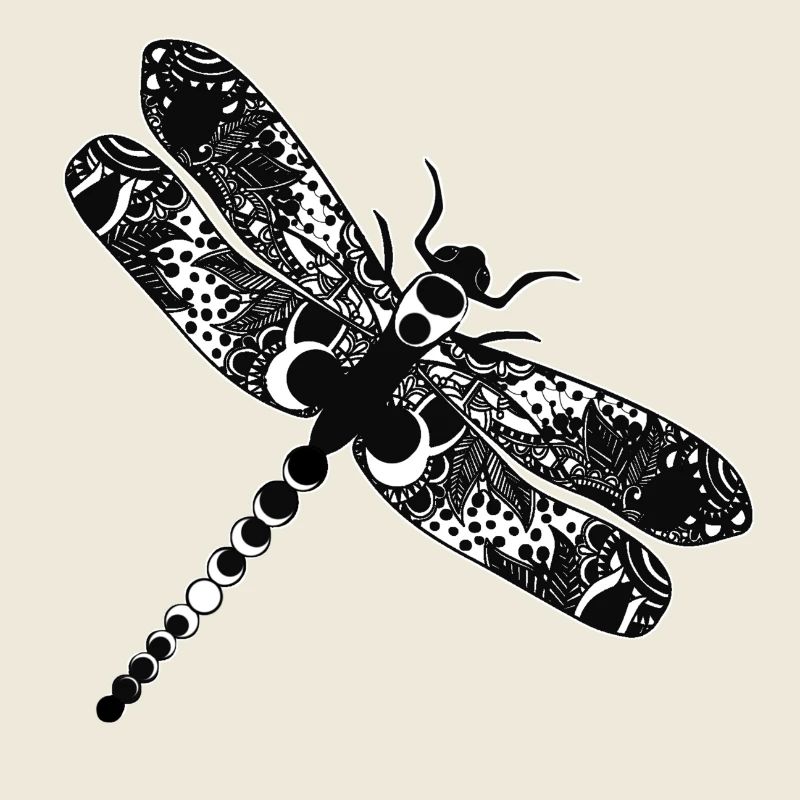 Dragon fly