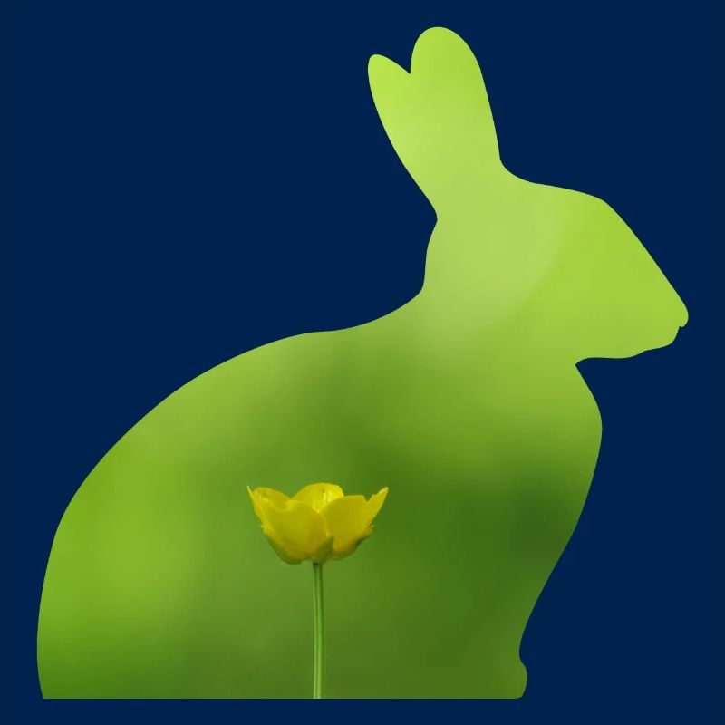 Hare