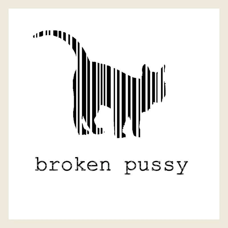 Broken Katze