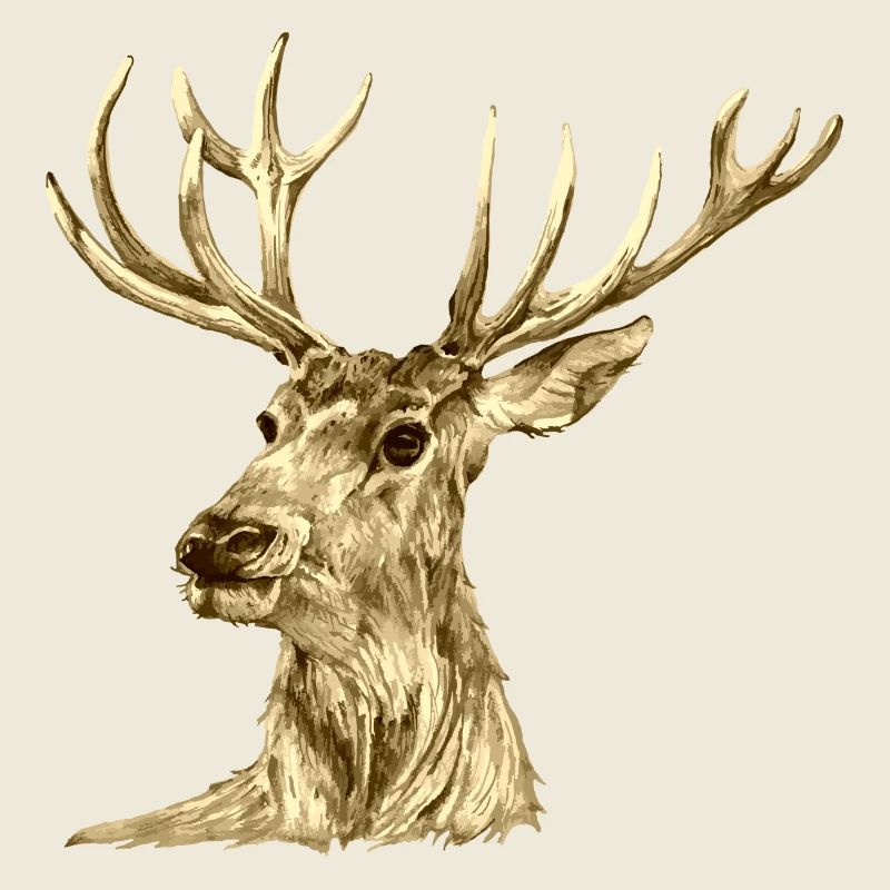 Hirsch