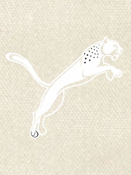 Leaping Leopard