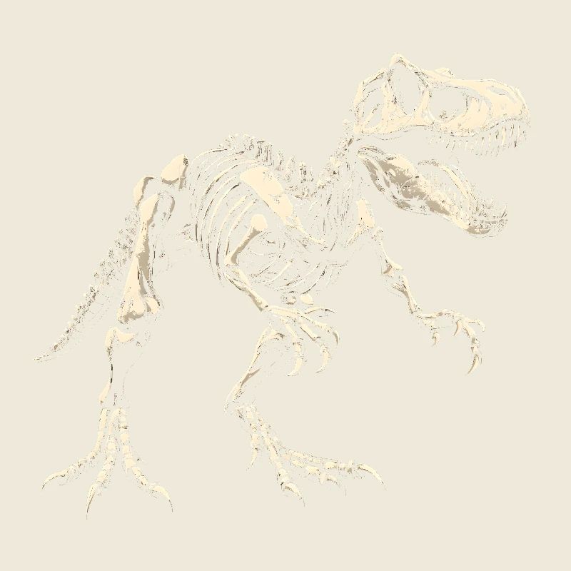 T-Rex Skeleton Dinosaur Dino