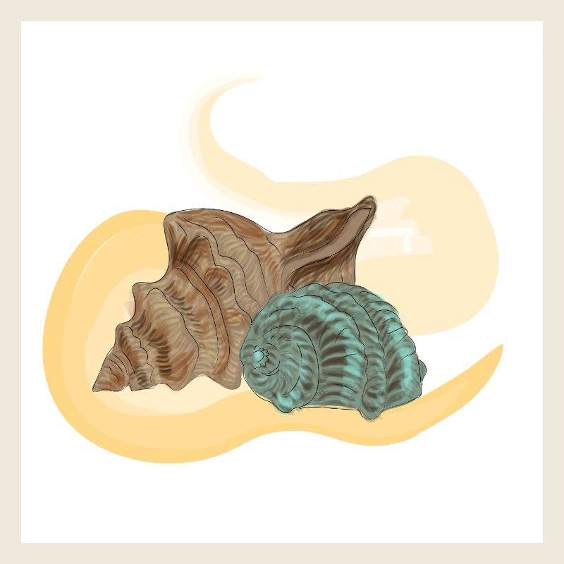 Lambi de mer