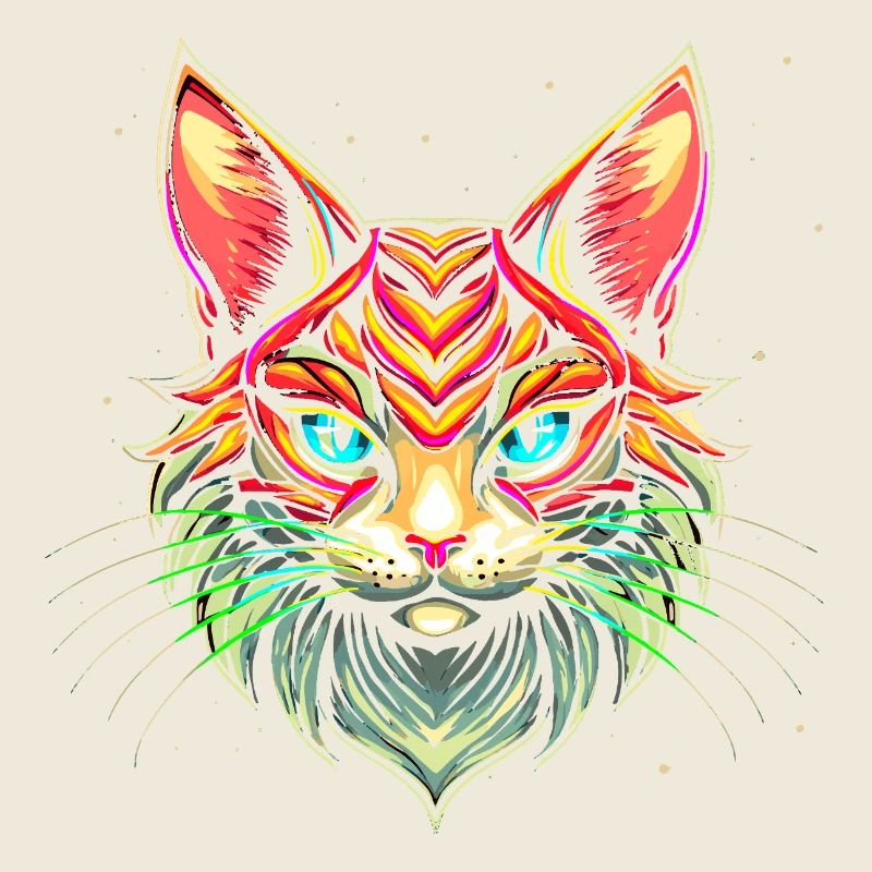 Maine Coon Katze