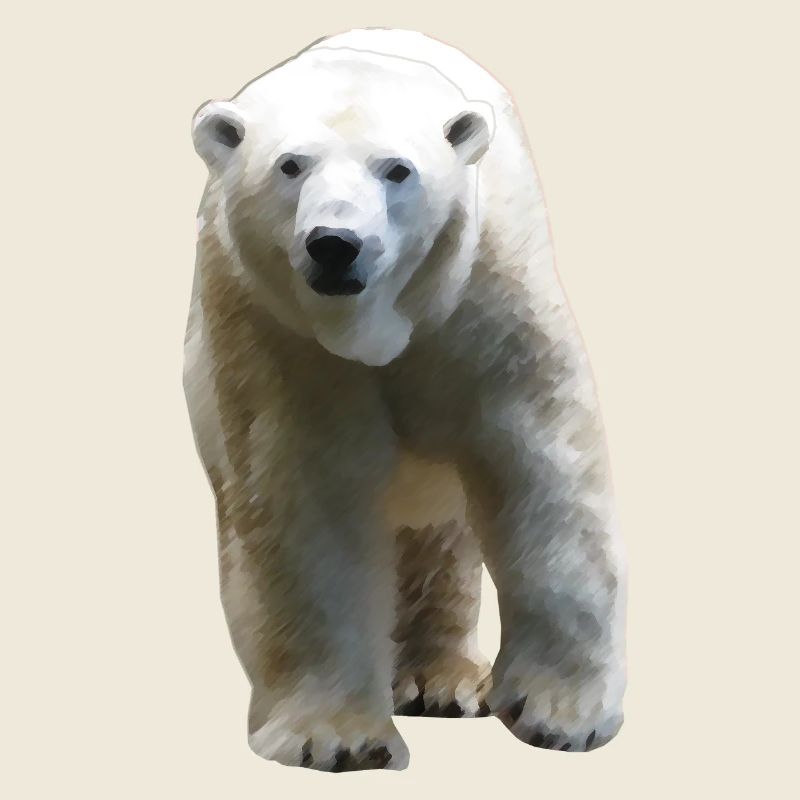 Polar Bear - Eisbär