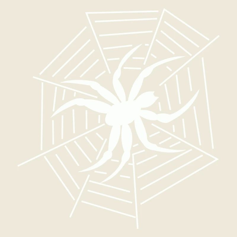 Spinne Spider