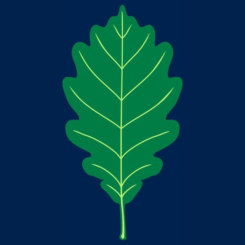 Oak Leaf