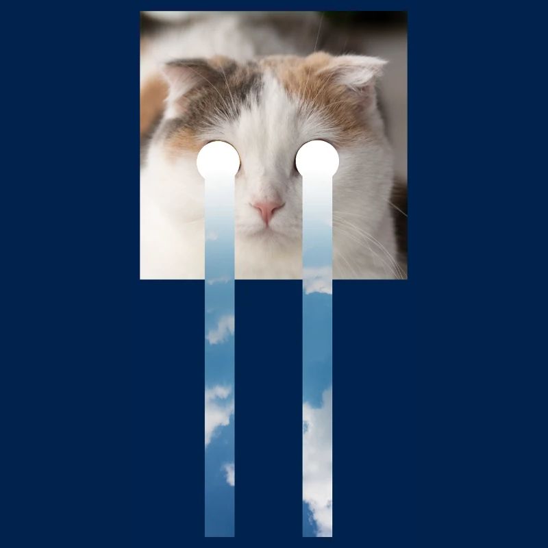 LE CHAT ET LE CIEL