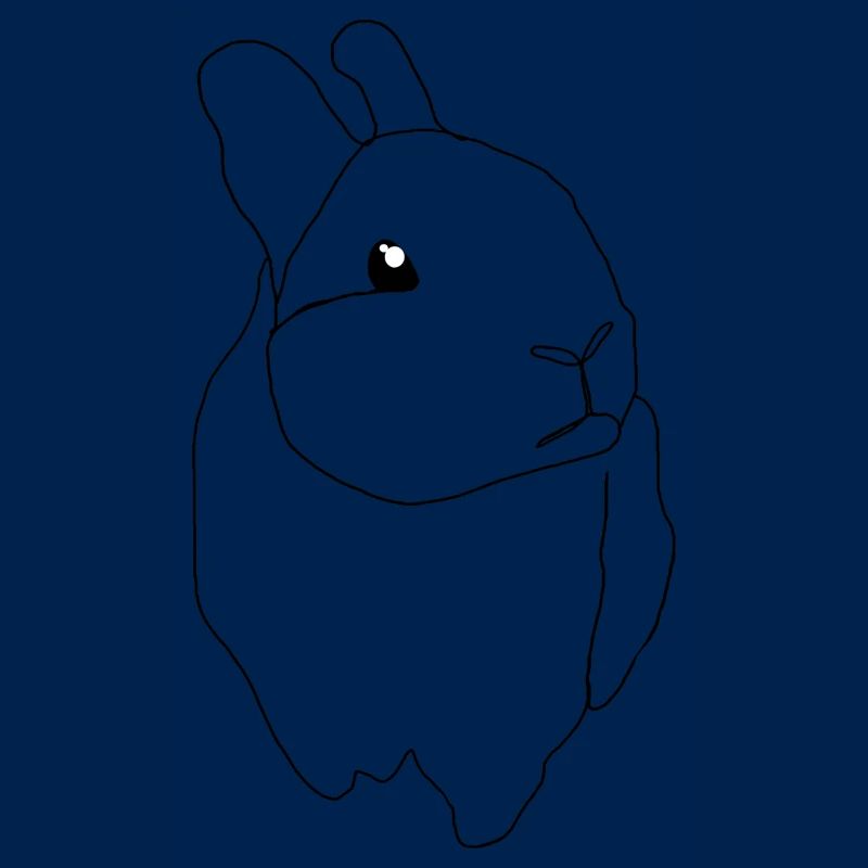 cute rabbit
