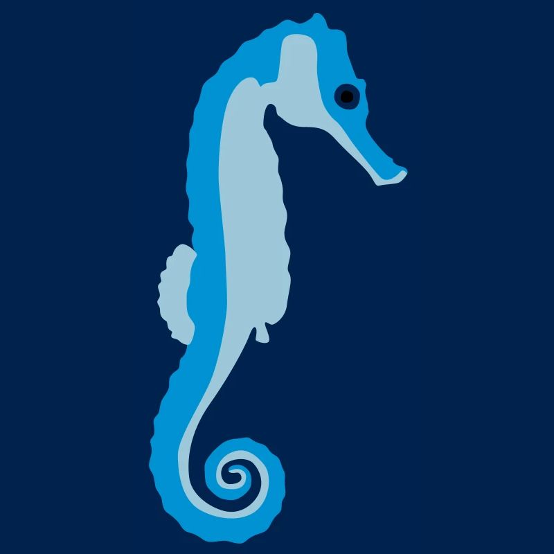 seepferdchen_082012_a_3c