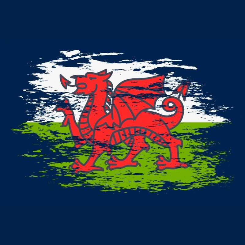 Drapeau du Pays de Galles utilisé