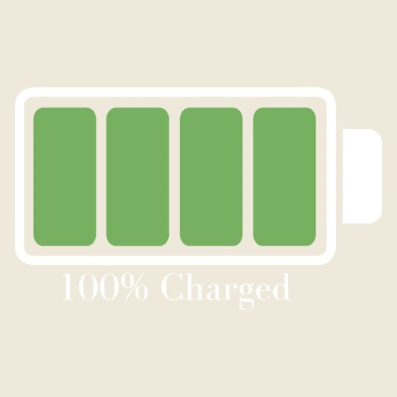 Charged battery