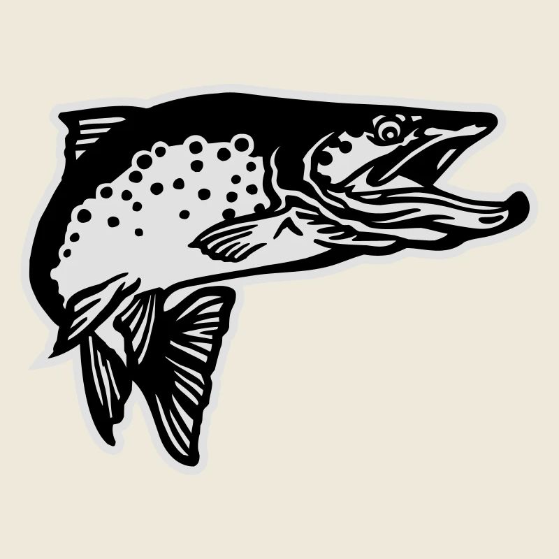 forelle2_2c_mit_kontur_2