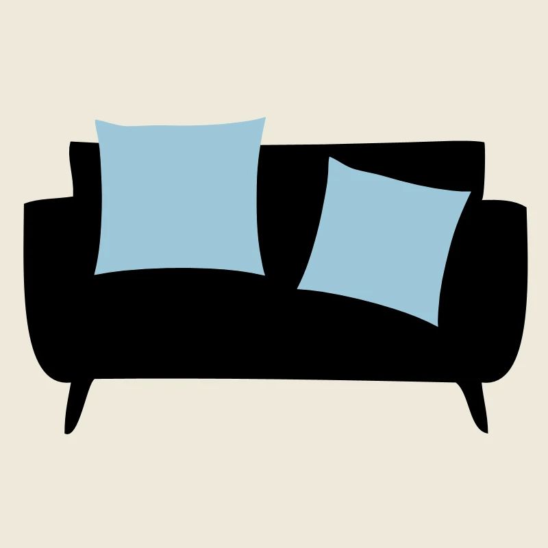 Sleeper sofa & Pillows