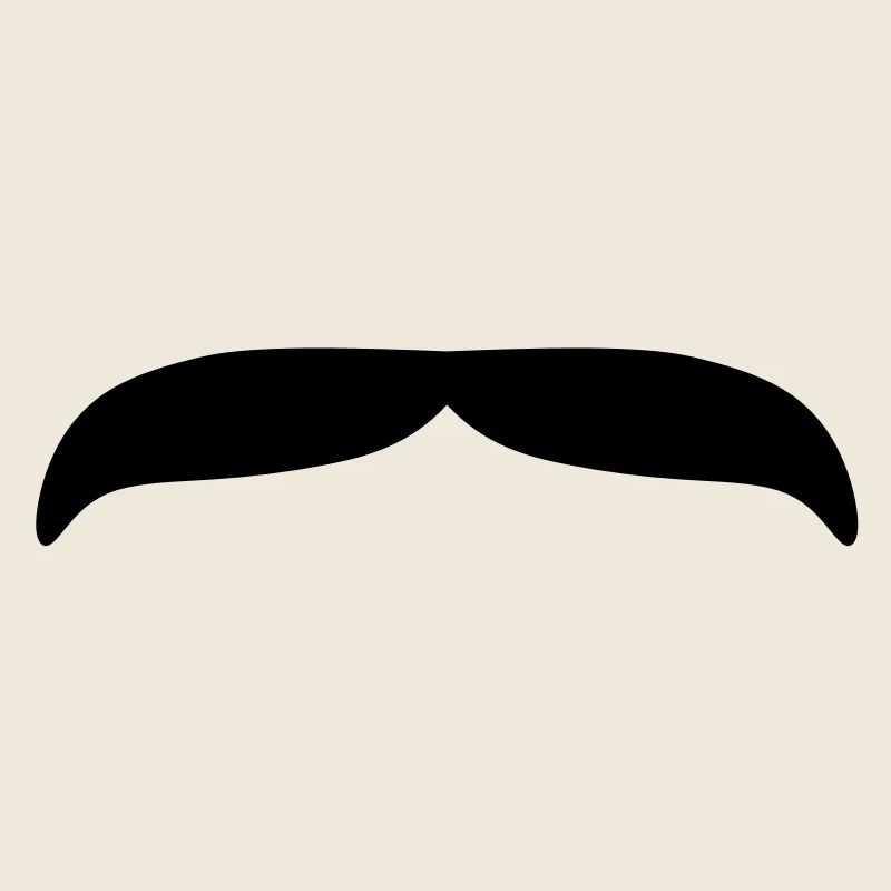 Moustache 2