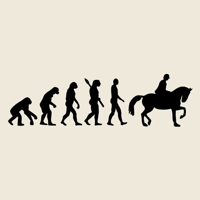 Reiten