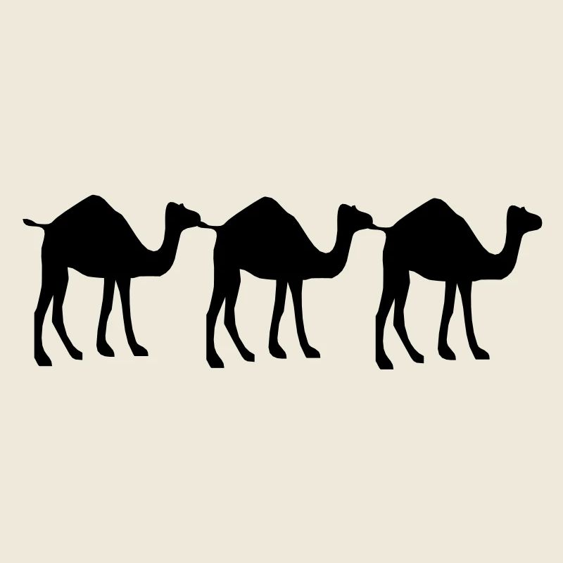 3 Kamel