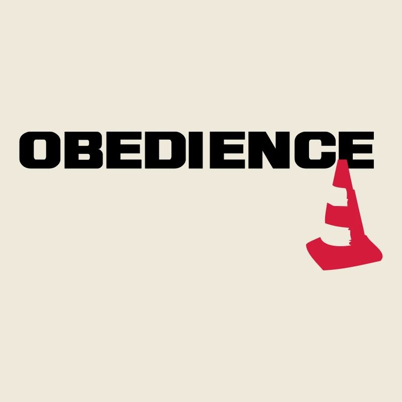 Obedience with pylons