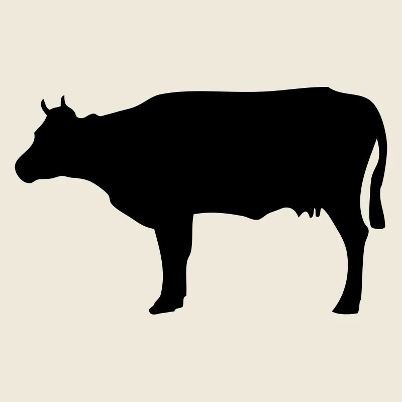 Vache