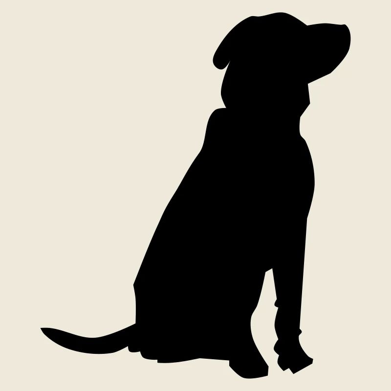 pet dog