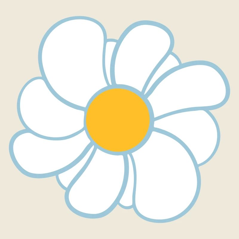 Weiße Margeriten Blumen Frühling Sommer Blümchen