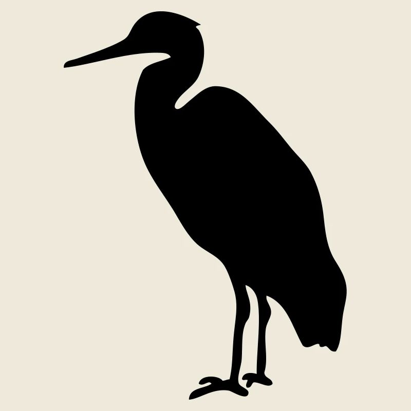 Storch Watvogel