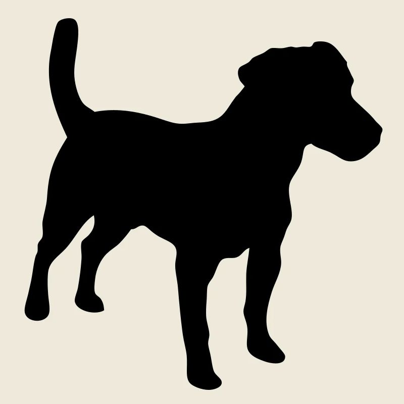 Jack Russell Terrier, chien, agilité