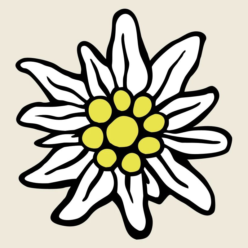 edelweiss_3c