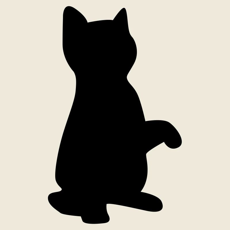 cat kitten
